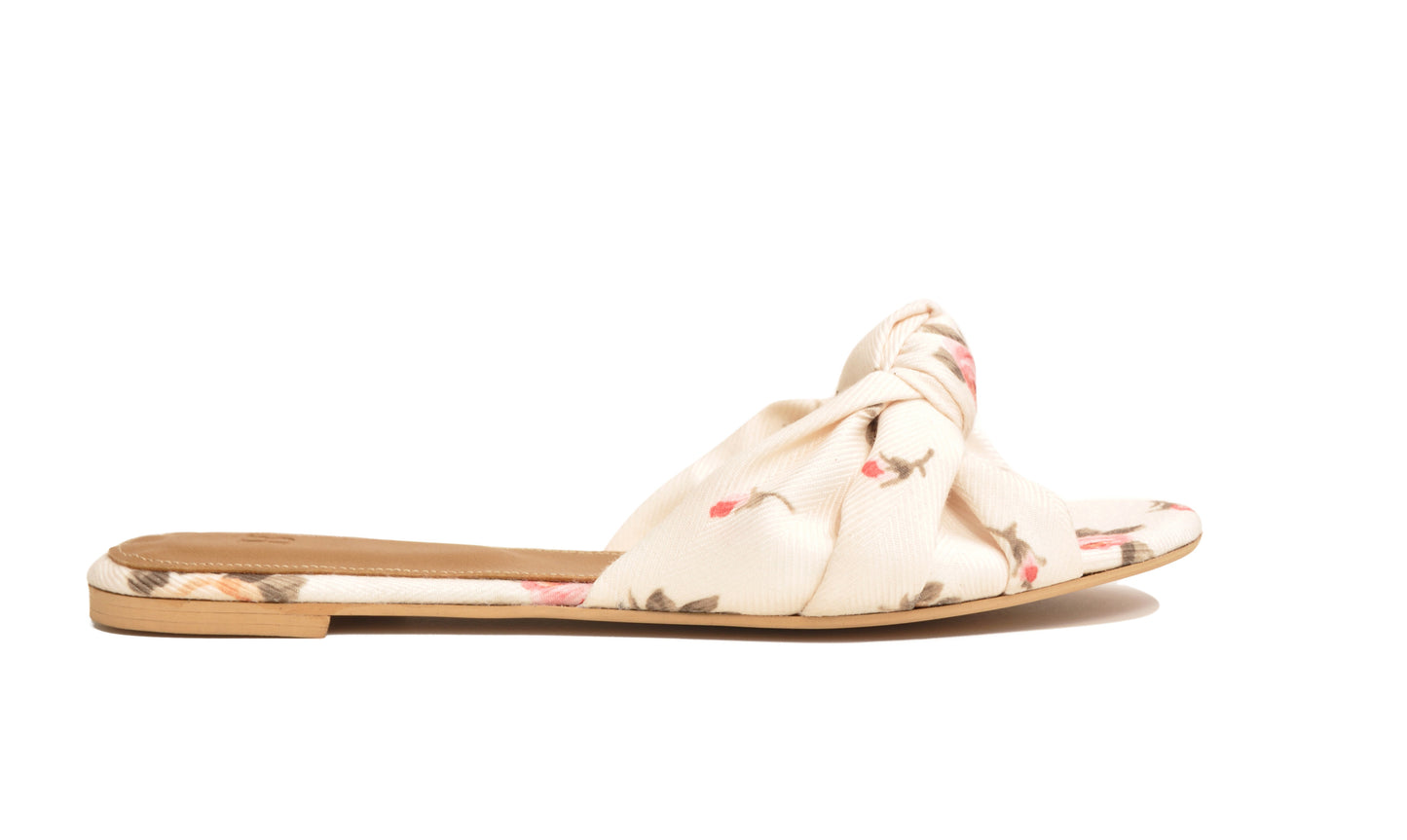 Warda Slides
