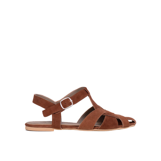 Brown earth - Limited edition